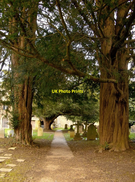 Photo 6"x4" The churchyard, Lurgashall Lurgashall c2014