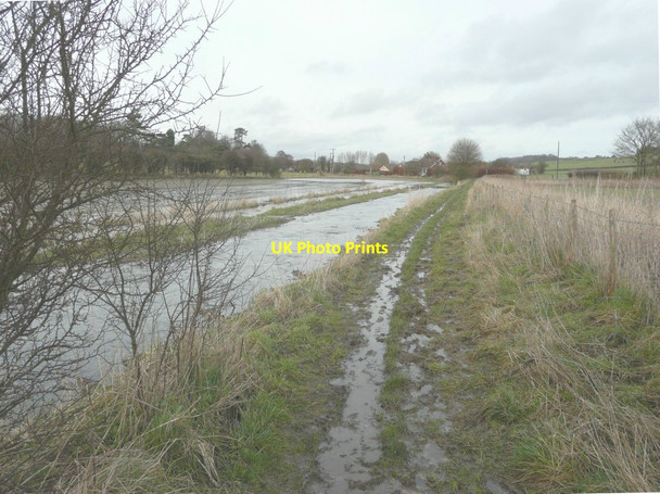 Photo 6"x4" Looking north-northeast along the Elham Valley Way Elham c2014