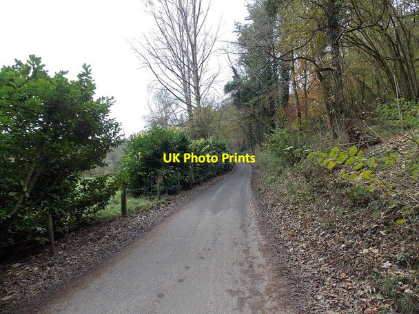 Photo 6"x4" Road south from Castle Combe Castle Combe c2013