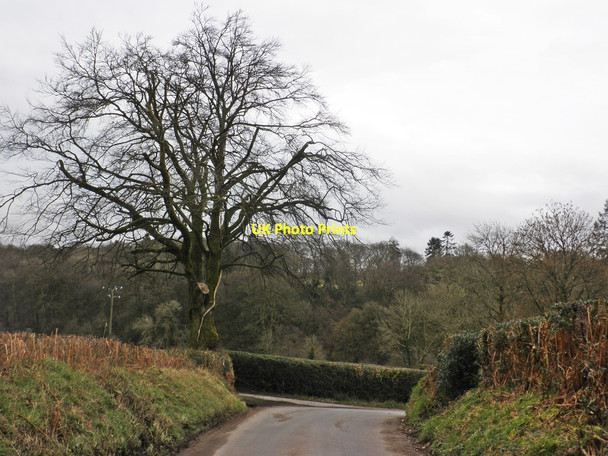 Photo 6"x4" Sharp bend on Marsh Hill Dulverton c2014