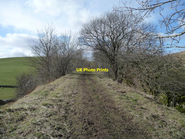 Photo 6"x4" Former railway line, near Severals Gill Brownber\/NY7005 c2014