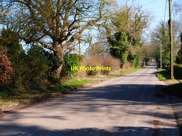 Photo 6"x4" Looking northwards on Alton Lane Four Marks c2014