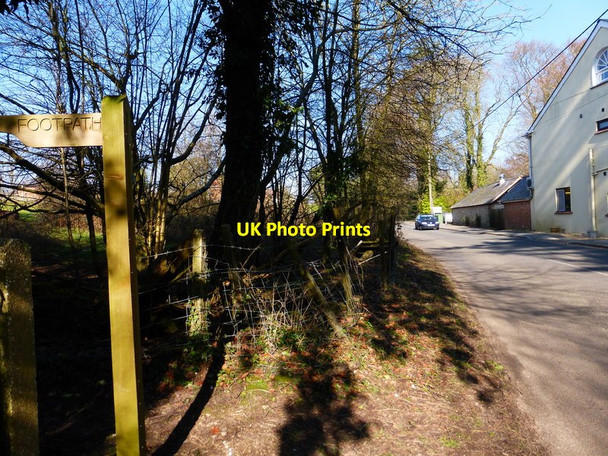 Photo 6"x4" Looking north on Lymington Bottom from footpath Kitwood c2014