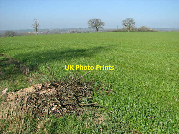 Photo 6"x4" Cereal crop on Annis Hill Annis Hill\/TM3589 c2014