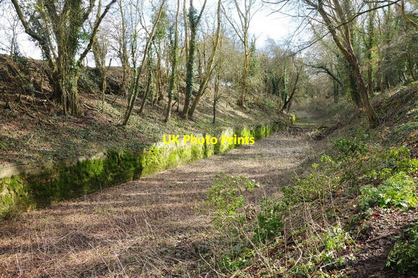 Photo 6"x4" Thames and Severn Canal near Tarlton Bridge Tarlton c2014