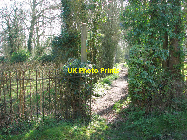 Photo 6"x4" Footpath to St Margaret's church Ilketshall St Margaret c2014
