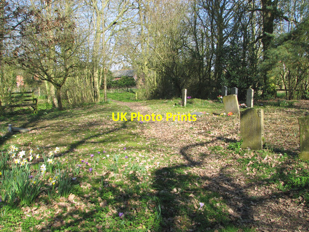 Photo 6"x4" Path through St Margaret's churchyard Ilketshall St Margaret c2014