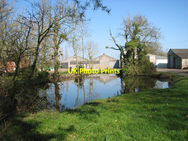 Photo 6"x4" Pond by Grove Farm Ilketshall St Margaret c2014