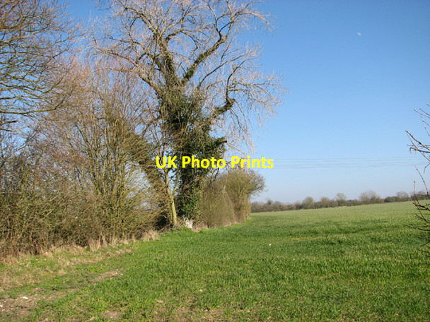 Photo 6"x4" Field boundary by Brook House High Street\/TM3684 c2014