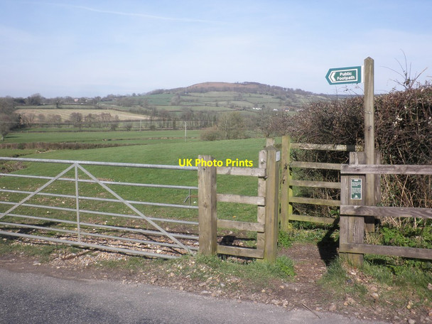 Photo 6"x4" Footpath to 'The Cleeve', Culmstock Culmstock c2014