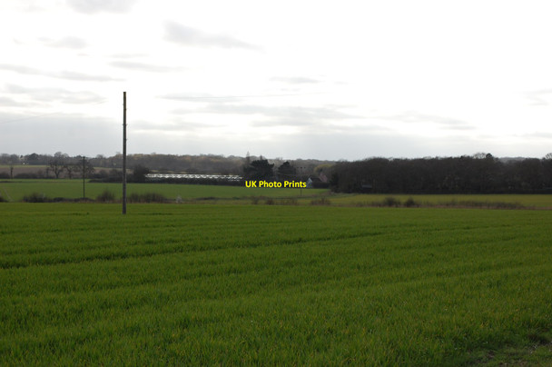 Photo 6"x4" View near Hawkwell Hawkwell\/TQ8591 c2014