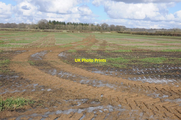 Photo 6"x4" Arable land near Coates Coates\/SO9800 c2014