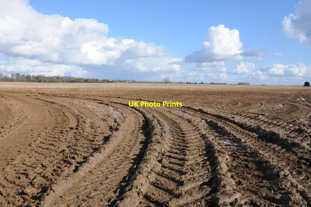 Photo 6"x4" Tyre tracks in a muddy field Coates\/SO9800 c2014
