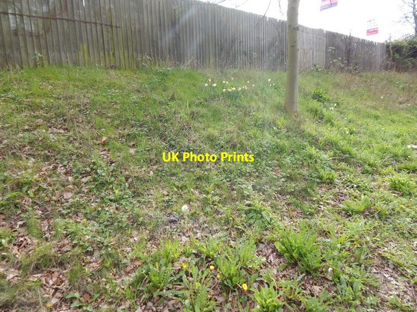 Photo 6"x4" Bank, London Road (A1214) Ipswich c2014