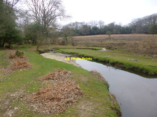 Photo 6"x4" Fritham, Dockens Water Fritham c2014