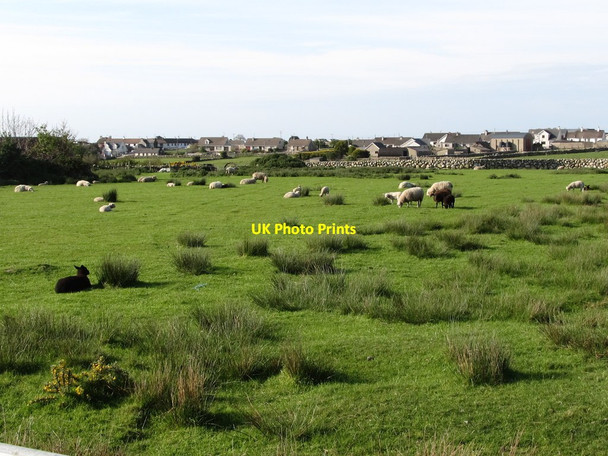 Photo 6"x4" Sheep pastures on the outskirts of Annalong Annalong c2011