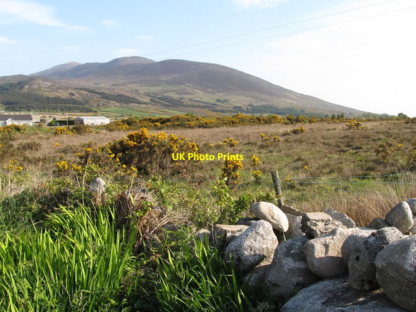 Photo 6"x4" Unreclaimed land on the east side of Mill Road Annalong c2011