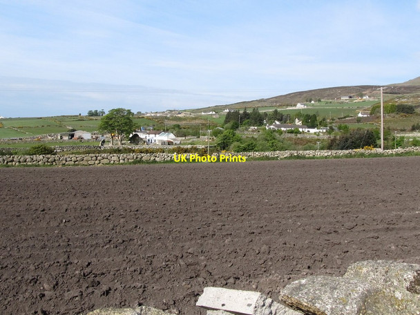 Photo 6"x4" Potato field alongside the upper Mill Road Annalong c2011