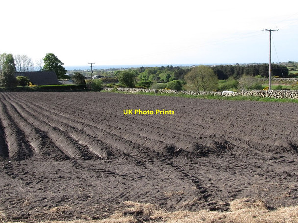 Photo 6"x4" Potato ridges alongside Head Road Annalong c2011