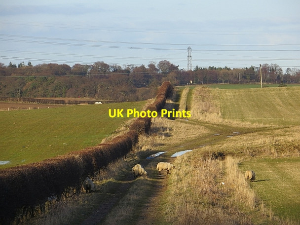 Photo 6"x4" Track, Lothianburn Loanhead\/NT2765 c2014