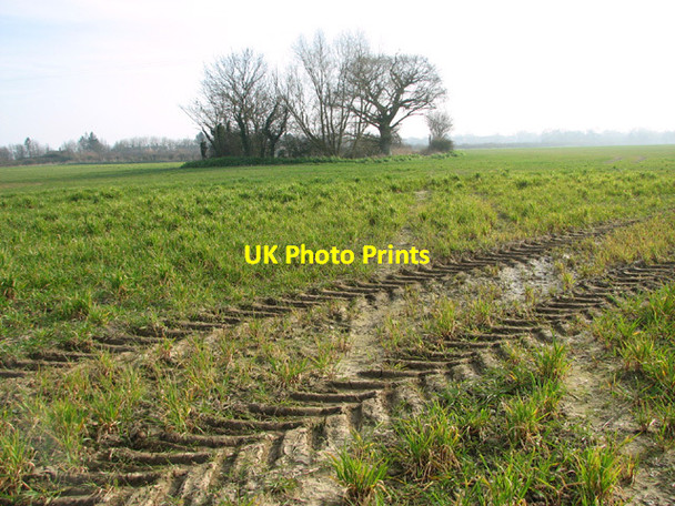 Photo 6"x4" Pond beside the footpath to Moat Farm Kessingland c2014