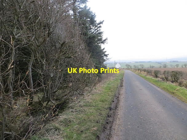 Photo 6"x4" Minor road, Haughhead Glenbrock c2014