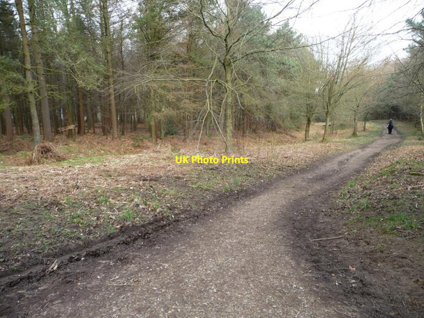 Photo 6"x4" Chevin Forest Park [11] Otley\/SE2045 c2014