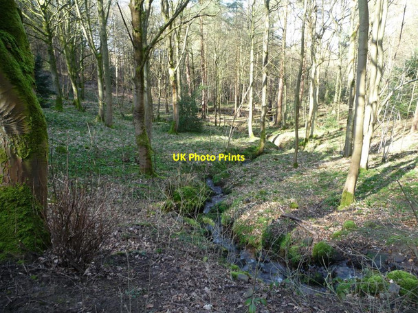Photo 6"x4" Chevin Forest Park [17] Otley\/SE2045 c2014