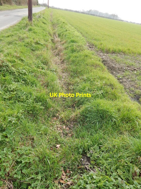 Photo 6"x4" Ditch in Round Maple (near Hunters Moon) Round Maple c2014