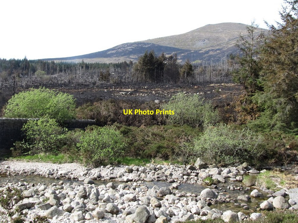 Photo 6"x4" View across the Annalong River to the fire ravaged Annalong Wood Annalong c2011