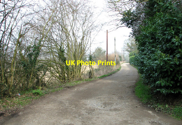 Photo 6"x4" View along Fleet Road Costessey Park c2014