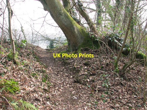 Photo 6"x4" Path at Costessey Pits Costessey c2014
