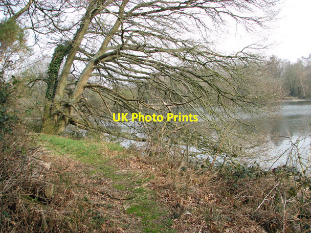 Photo 6"x4" Narrow path skirting Costessey Pits Costessey c2014