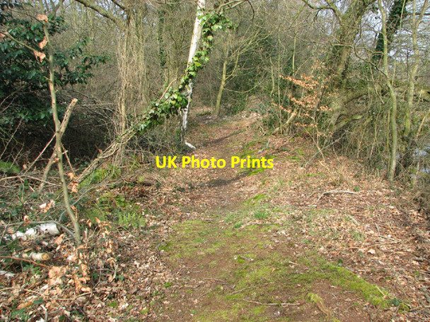 Photo 6"x4" Path leading around Costessey Pits Costessey c2014