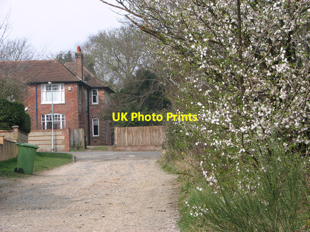 Photo 6"x4" Flowering shrubs in Station Road Costessey c2014