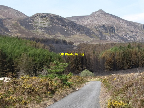 Photo 6"x4" View west across the fire ravaged upper Annalong River valley Annalong c2011