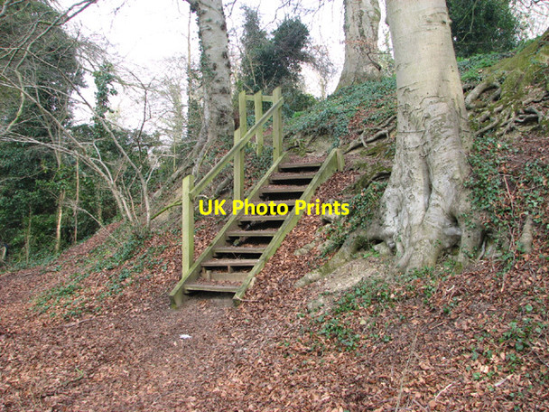 Photo 6"x4" Steps to the River Wensum Costessey c2014