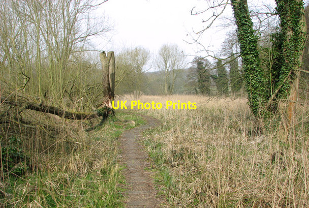 Photo 6"x4" Boardwalk alongside the River Wensum Costessey c2014