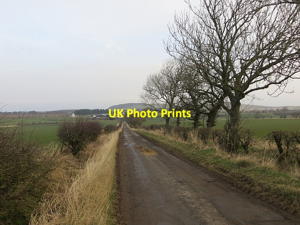 Photo 6"x4" Minor road, Buteland Glenbrock c2014