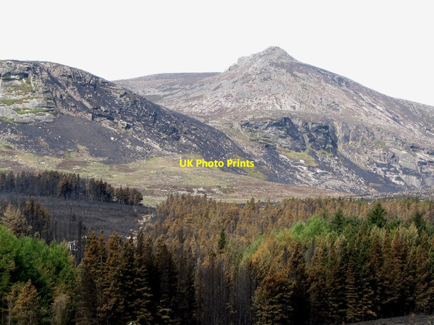 Photo 6"x4" View over fire damaged area towards Douglas Crag Annalong c2011