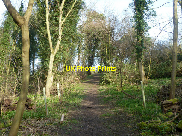 Photo 6"x4" Uphill footpath Much Hadham c2014