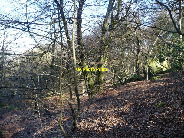 Photo 6"x4" Chevin Forest Park [19] Otley\/SE2045 c2014