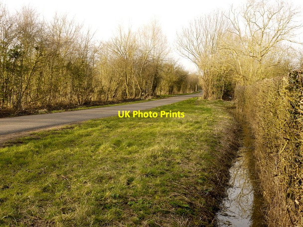 Photo 6"x4" Country Lane Naunton Beauchamp c2014