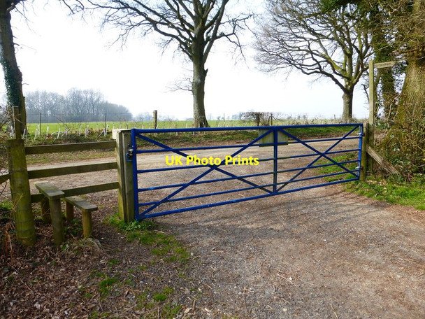 Photo 6"x4" Footpath reaches Punsholt Lane West Tisted c2014