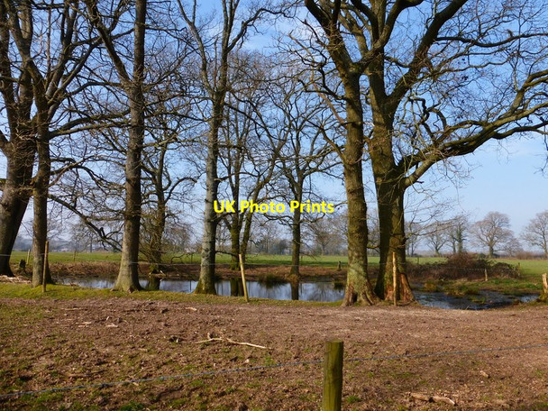 Photo 6"x4" Attractive pond seen from bridleway Lane End\/SU6729 c2014