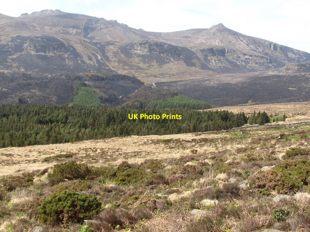 Photo 6"x4" Annalong Wood from the slopes of Rocky Mountain Annalong c2011