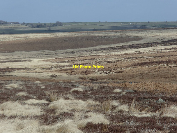 Photo 6"x4" Moorland around Umberley Brook Wadshelf c2014