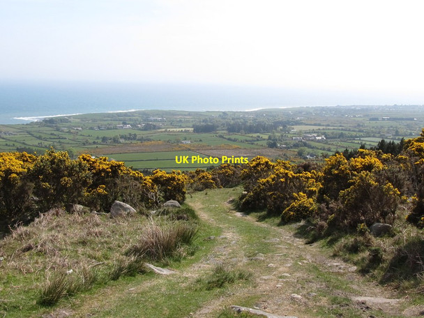 Photo 6"x4" Track descending alongside the entrenched Spences Valley towards Glasdrumman Annalong c2011