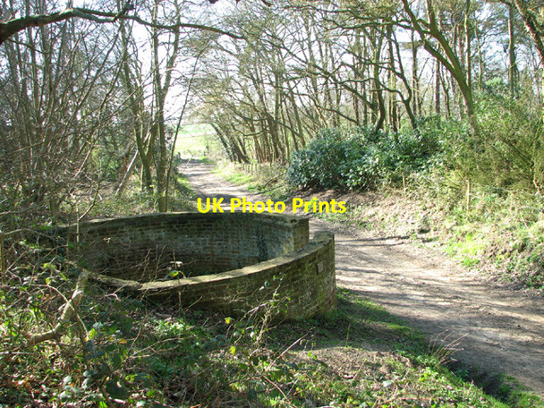 Photo 6"x4" The Somerleyton animal pound in Wadding Wood Herringfleet c2014 P1