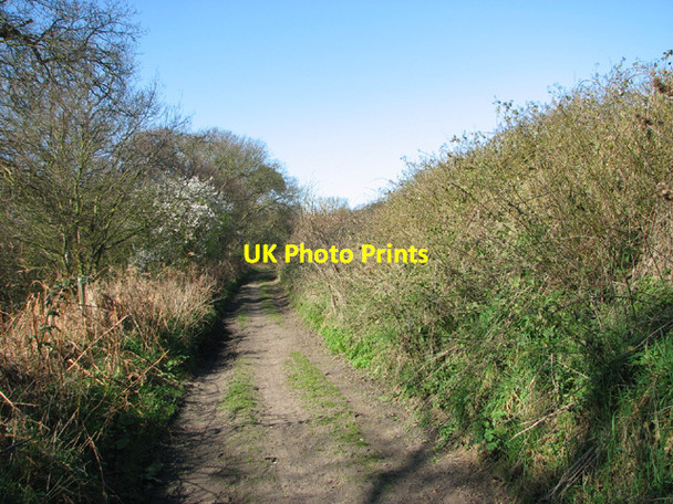 Photo 6"x4" To Station Road on the Angles Way Herringfleet c2014
